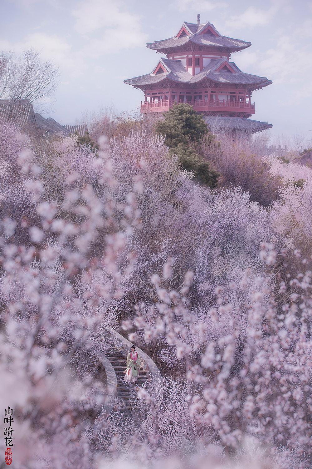山畔踏花（图ZMjUzODE3NTc2） - 人像摄影 - 站酷设计师摄影师蝈蝈小姐原创素材 - 站酷ZCOOL