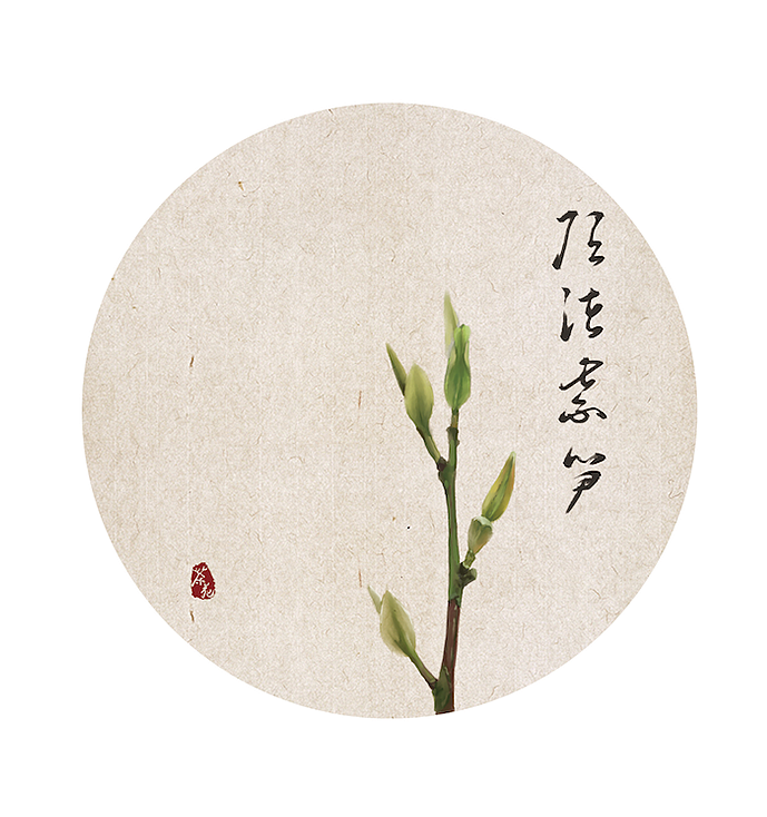 佛光曲广坊舞曲谱