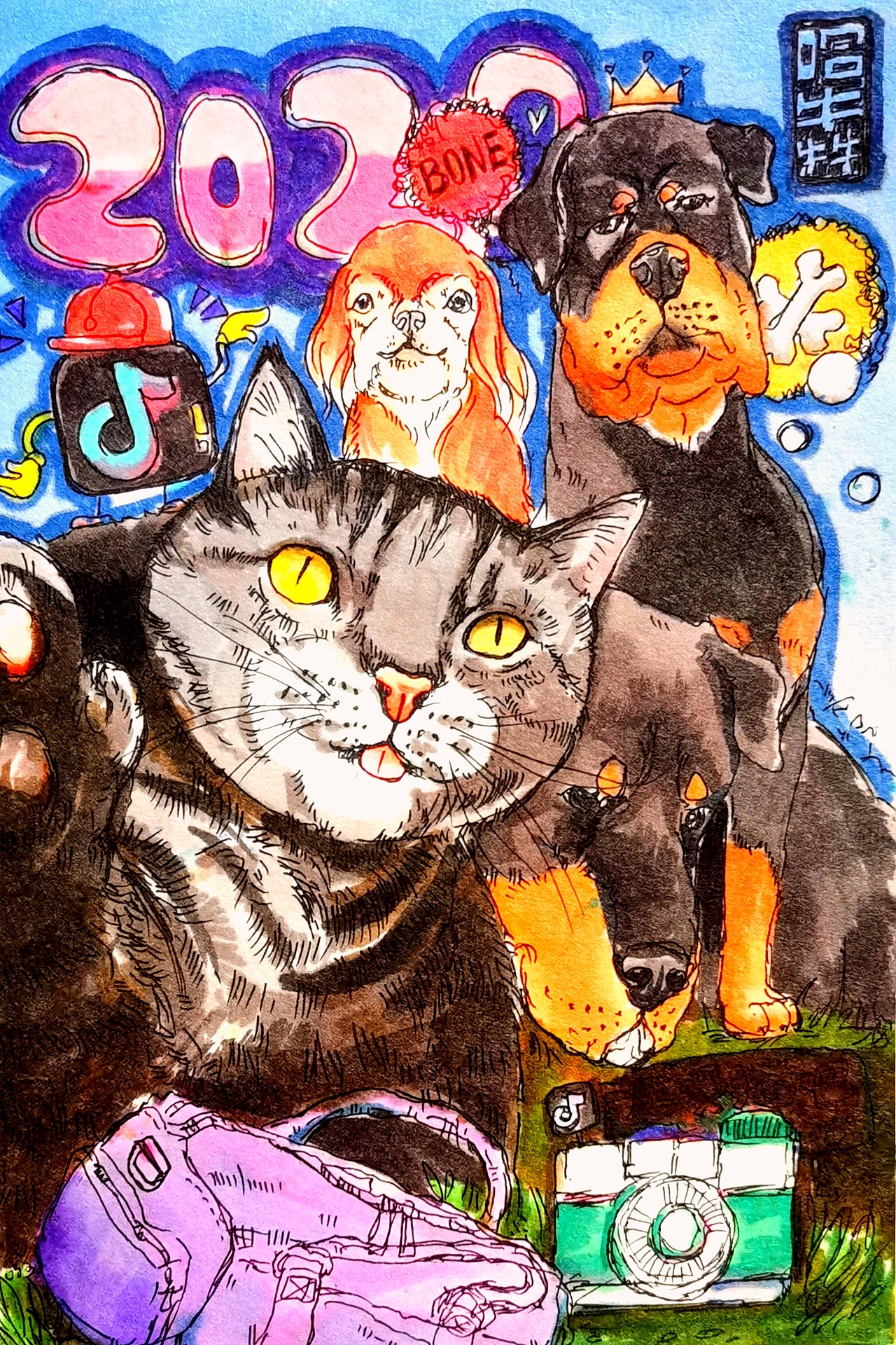 明晨无施主，依样画猫儿（图ZMjAwMTgyNTI4） - 创作习作 - 站酷设计师王小五是只喵原创素材 - 站酷ZCOOL