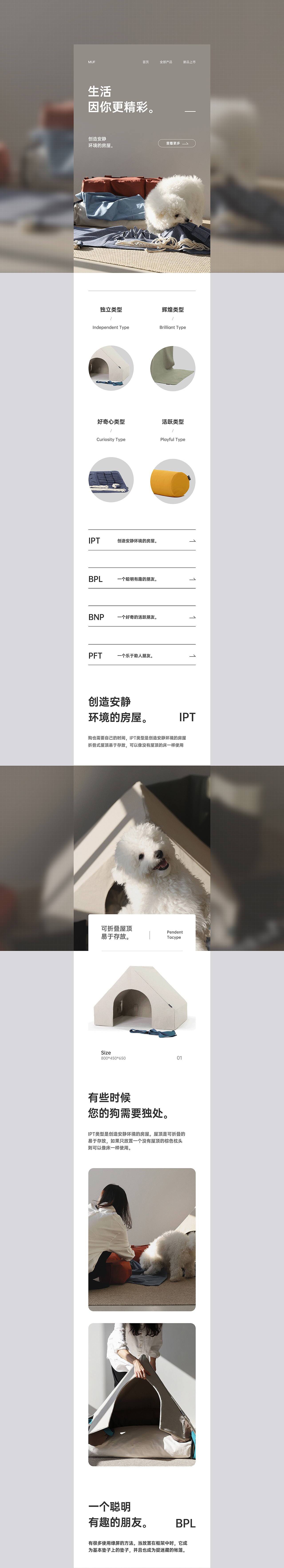 2020年度总结-网页篇-贰