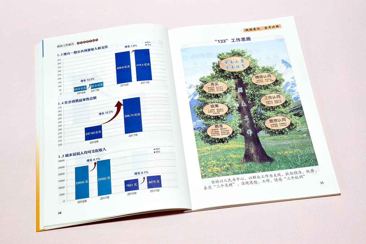 昭通市政府工作报告图解及背景材料（2018）（图ZMjU3MDE2MDE2） - 书籍/画册 - 站酷设计师木子LeeHW原创素材 - 站酷ZCOOL