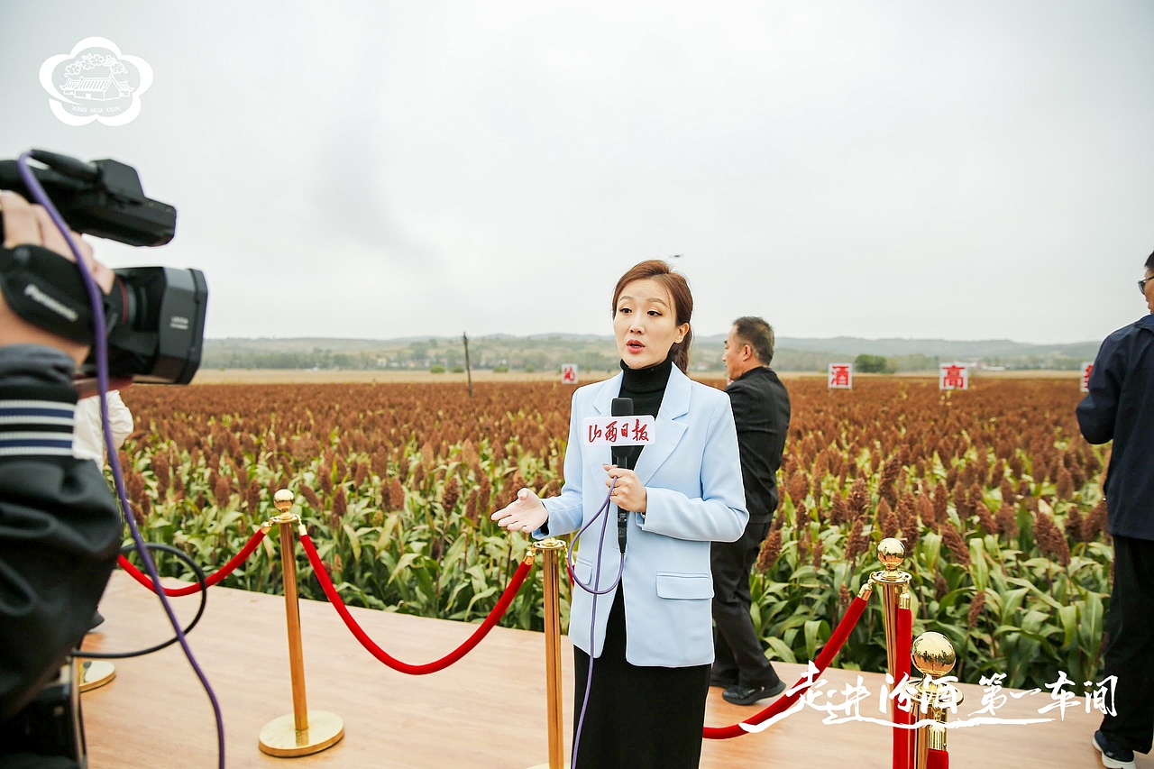 汾酒活动:走进汾酒第一车间·全国主流媒体原粮基地行