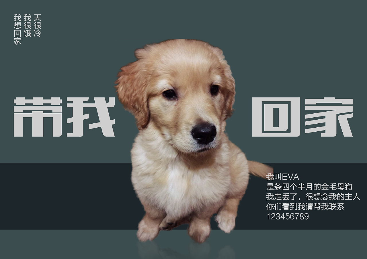 我是eva,带我回家