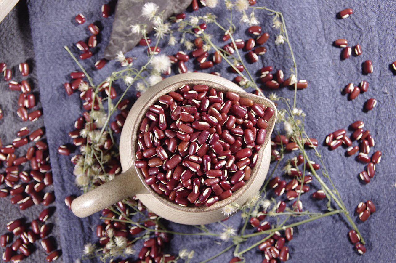赤小豆-神农架植物-图片