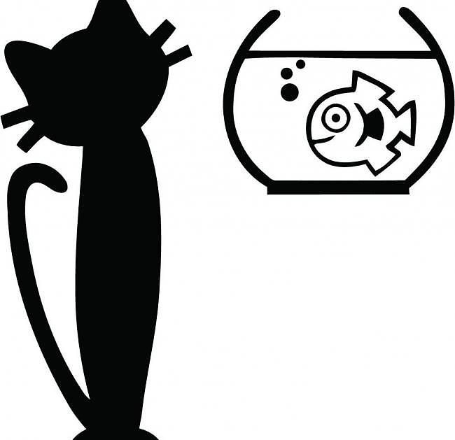 文化宣传短片（图ZMTY3OTE4OTY0） - 短片 - 站酷设计师Z02596072原创素材 - 站酷ZCOOL