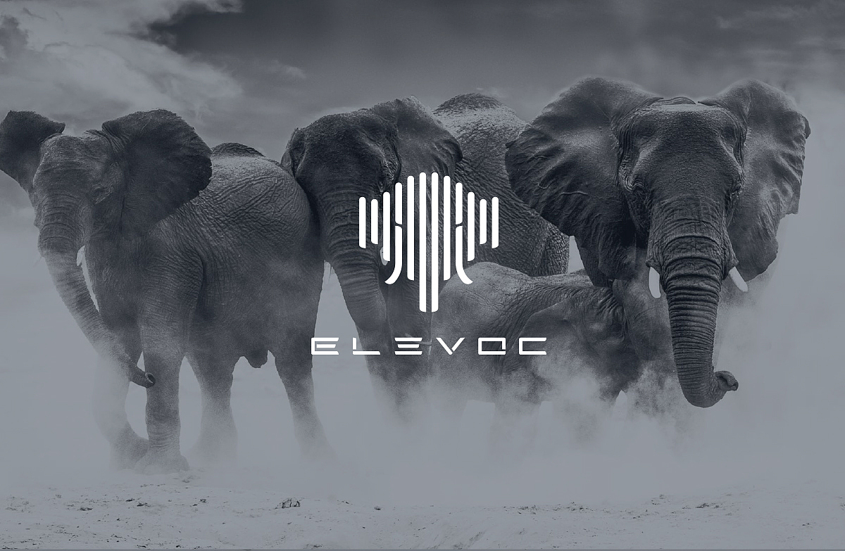 大象声科-品牌设计全案（图ZMjA2ODE2MTc2） - 品牌 - 站酷设计师Ryan_2017原创素材 - 站酷ZCOOL