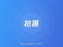 摄影、静物摆拍