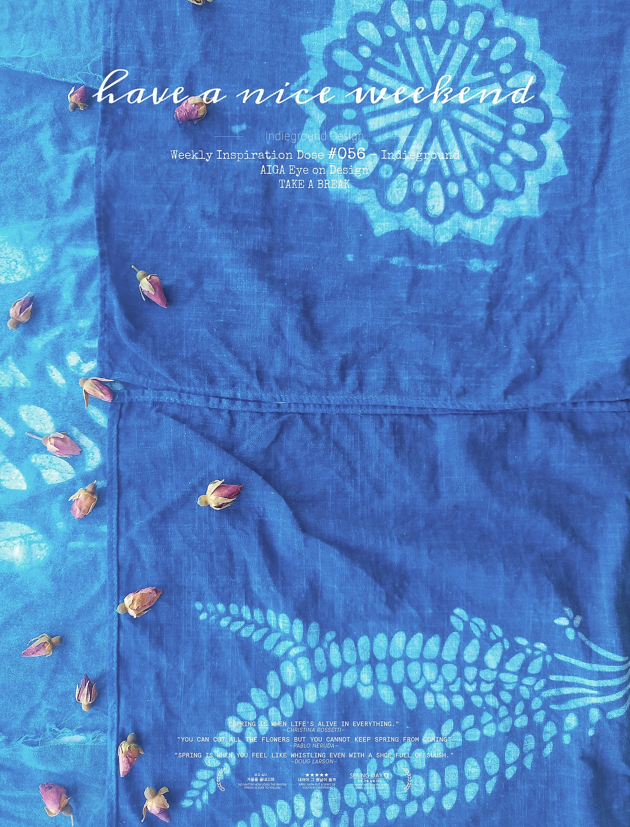 夏日里的一抹蓝