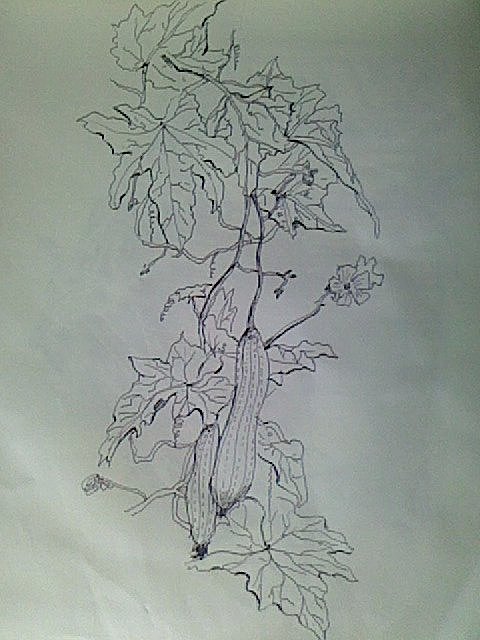 几年前大学时期速写练习.