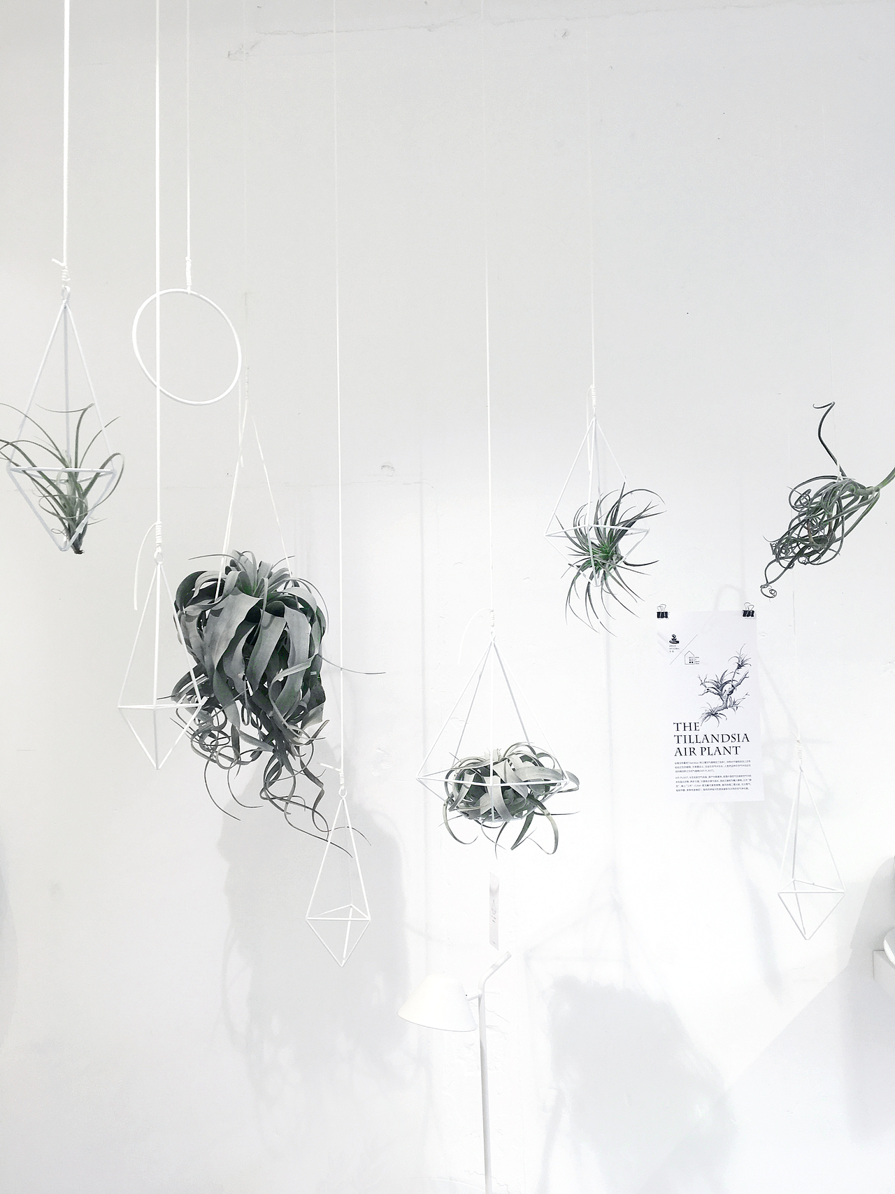 店面环境照（图ZMTExMjk1NzY4） - 产品摄影 - 站酷设计师红小爷原创素材 - 站酷ZCOOL