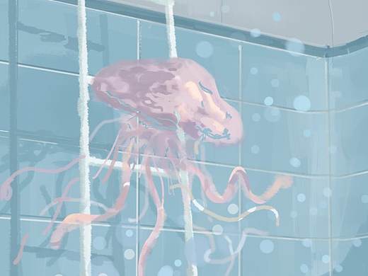 水母的梦
