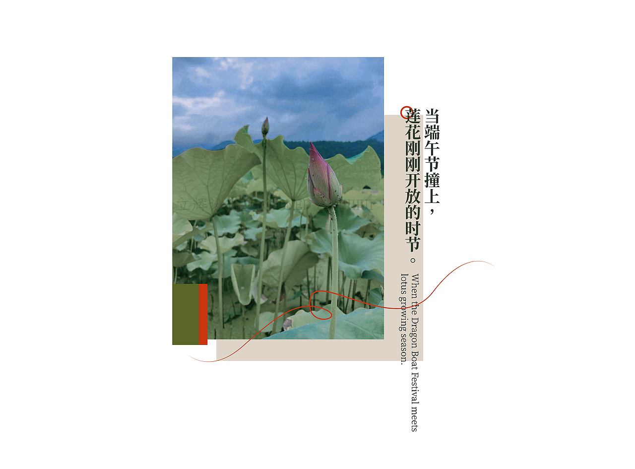九华山莲花小镇端午礼盒设计 x 莲生端阳（图ZMjU3OTUyNTE2） - 生活用品 - 站酷设计师刘立辉LIHUI原创素材 - 站酷ZCOOL