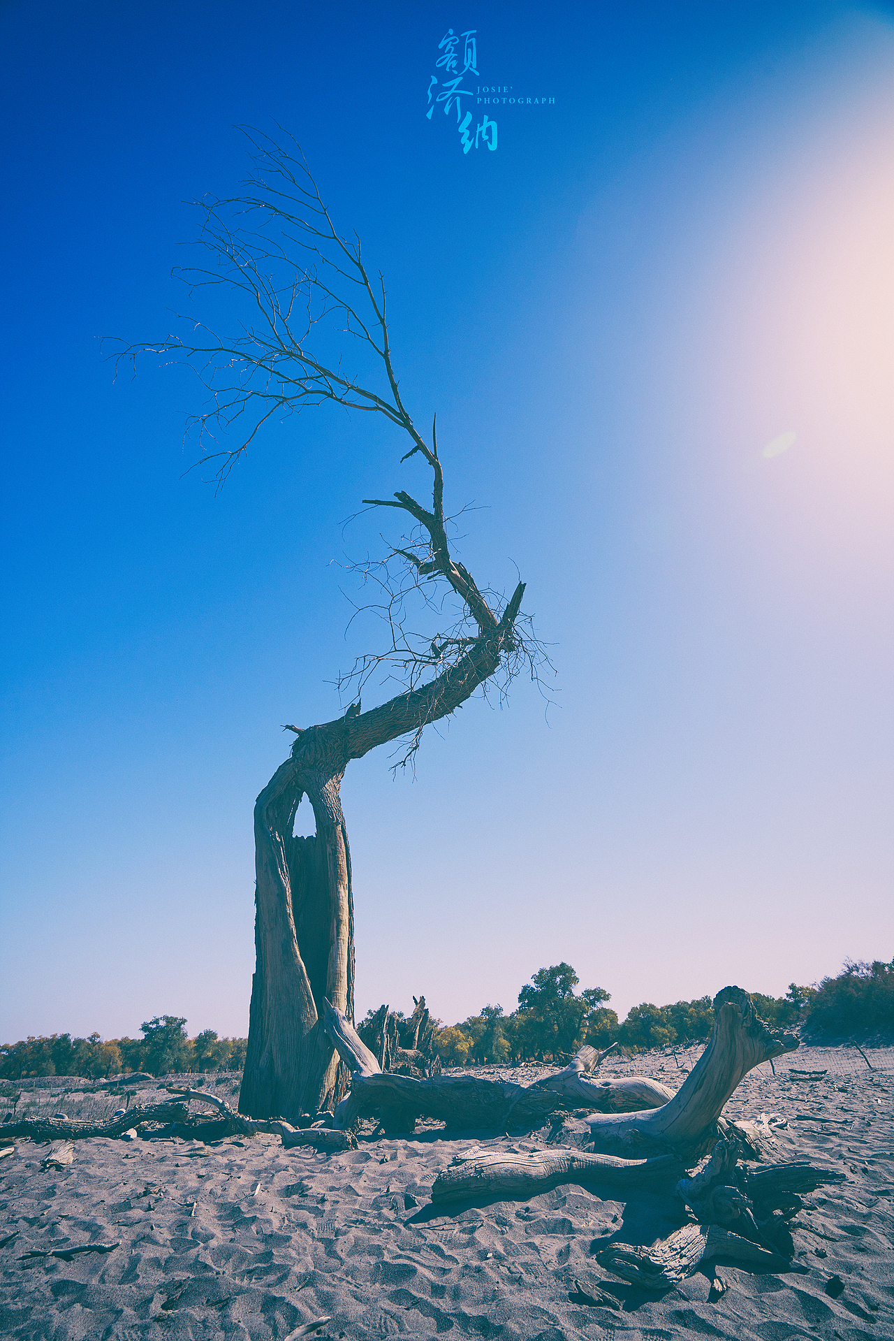 西出阳关 北过居延 行之万里（图ZMzkxODEyNDQ=） - 风光摄影 - 站酷设计师晓若xiaoruo原创素材 - 站酷ZCOOL