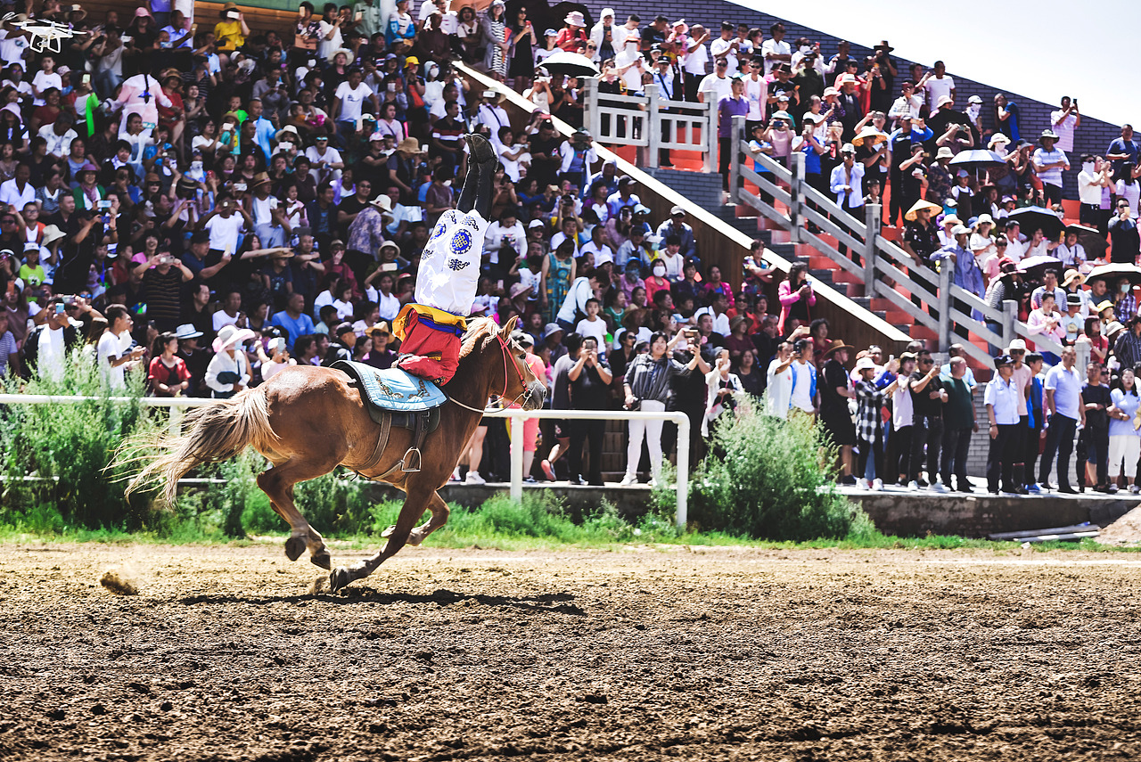 热情奔放的蒙古族庆祝2019中国草原蒙古马文化节