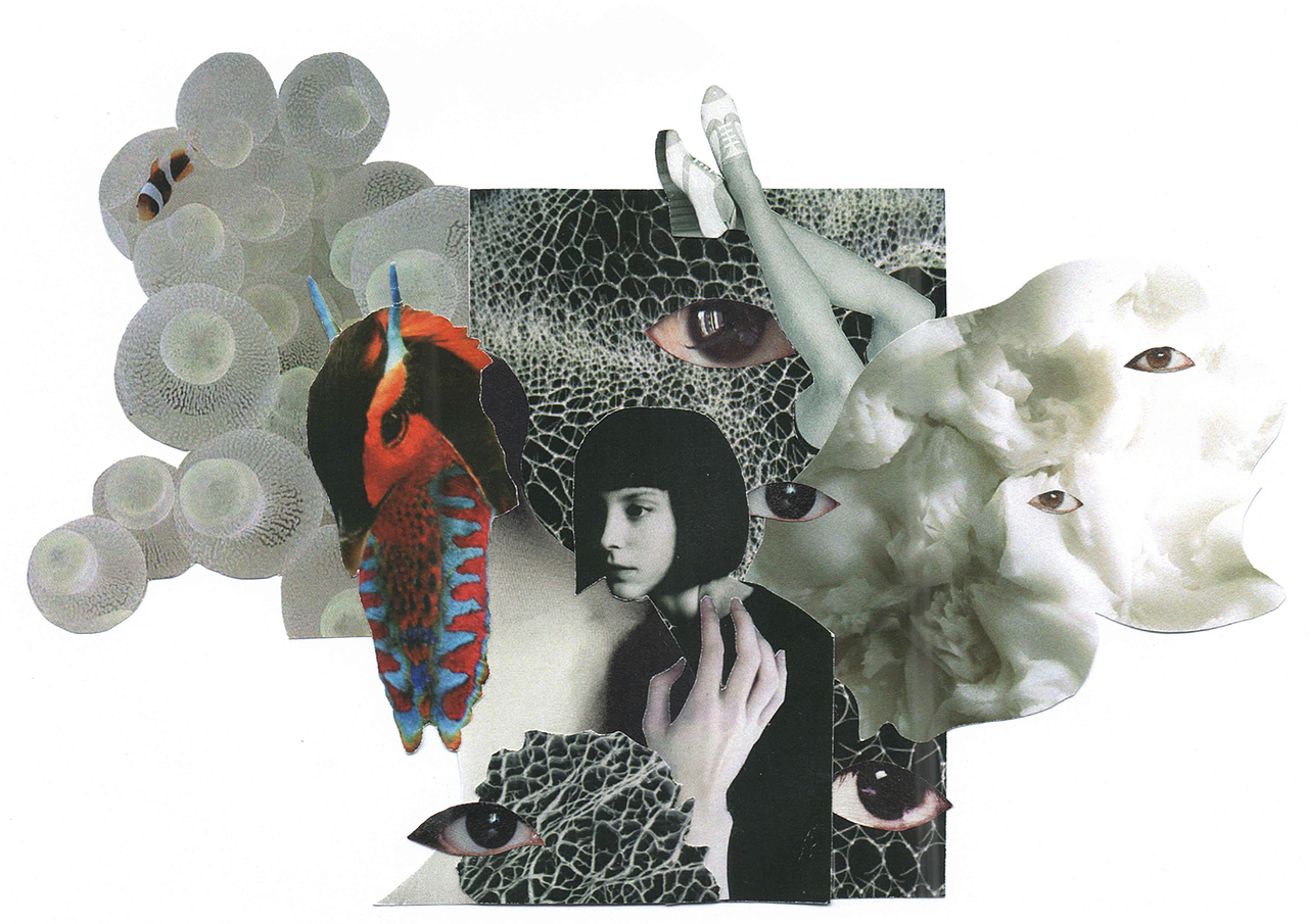 一些动物与人物的拼贴作业
