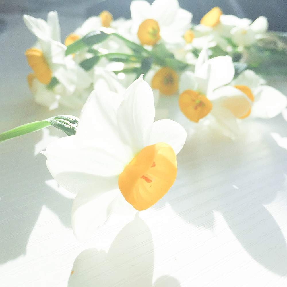 手机随拍,记录生活点滴(肆)