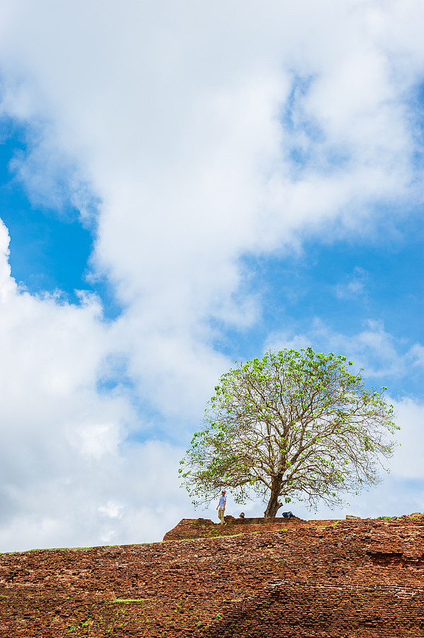 天空之城~Sigiriya Lion