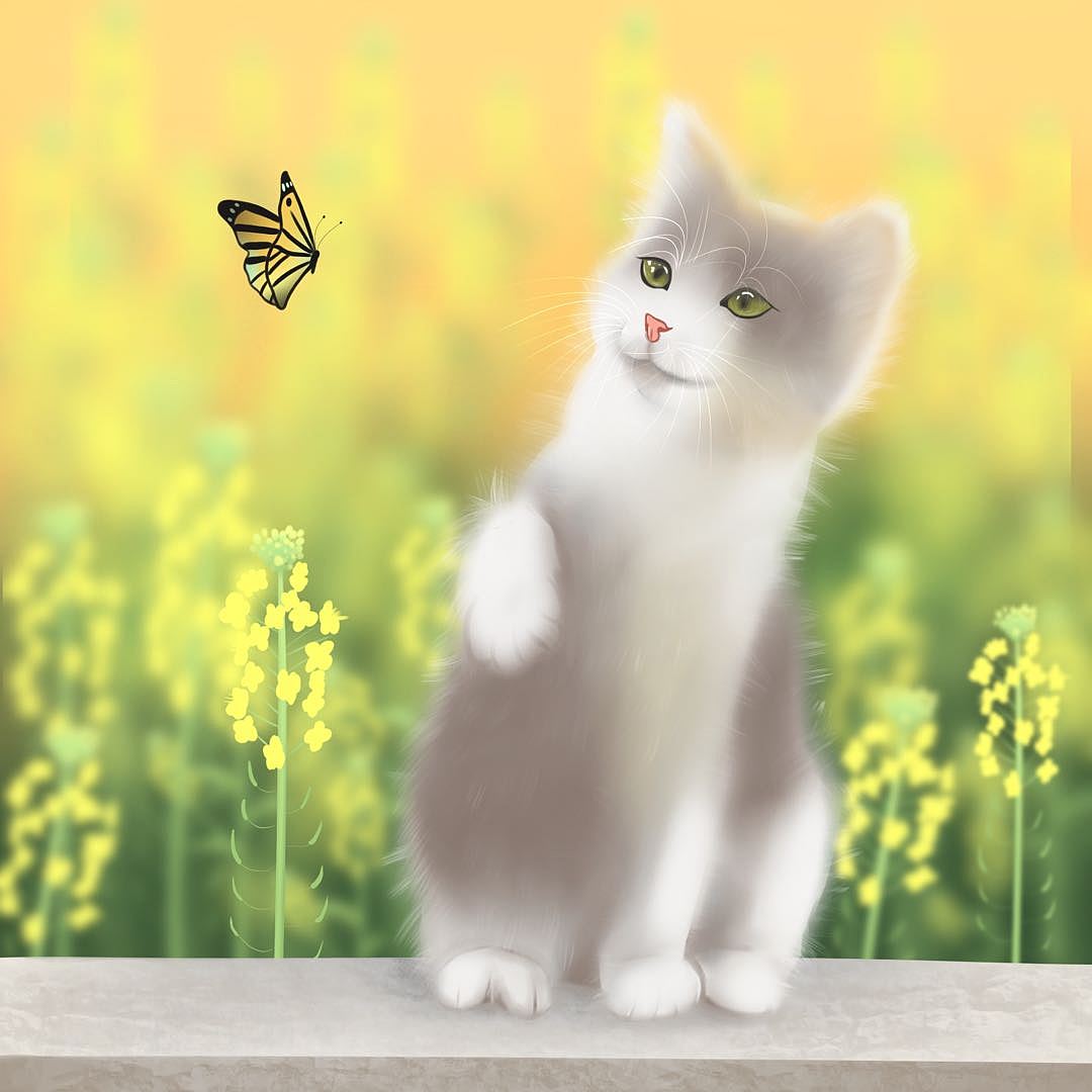 猫咪与蝴蝶