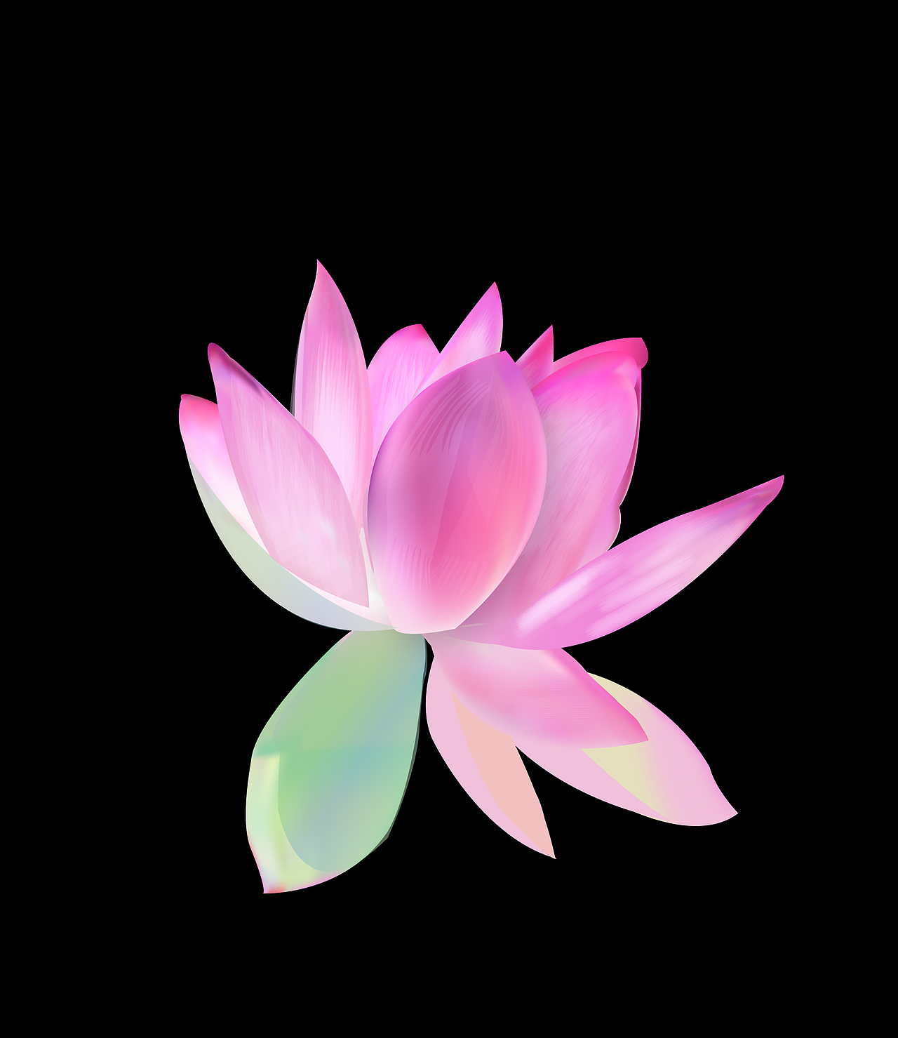 【“小小莲花”一枚】 =。=新人 ， 第一次鼠绘作品，求指教(⊙o⊙)…（图ZNTQ2MDU0MA==） - 新锐潮流插画 - 站酷设计师cgd449181763原创素材 - 站酷ZCOOL
