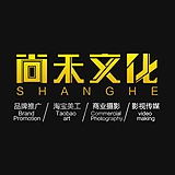 尚禾品牌设计的头像