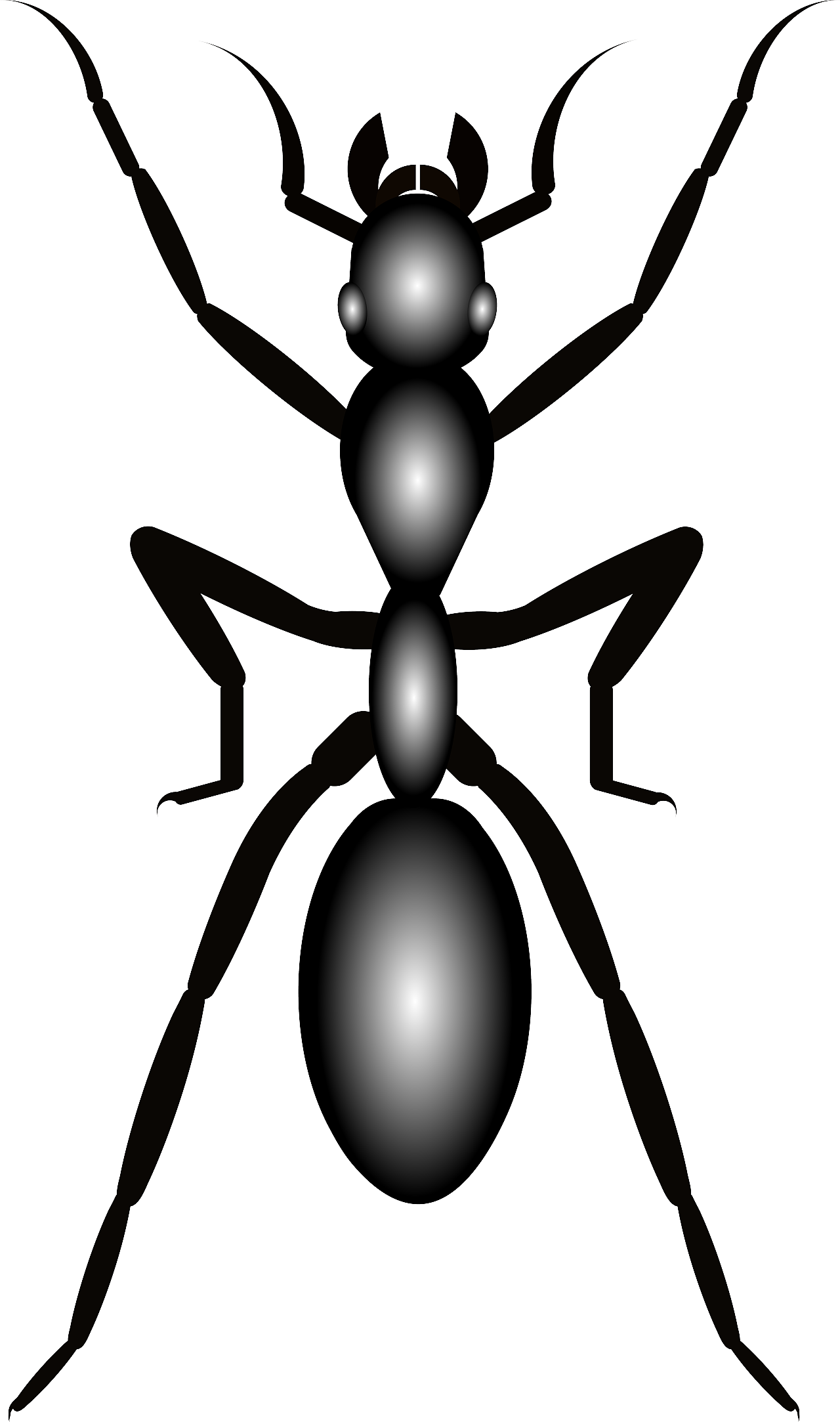 蚂蚁|平面|图案|春秋客栈_原创作品-站酷zcool