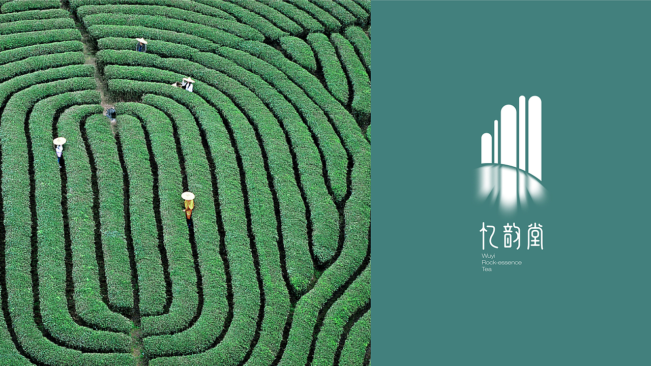 忆韵堂×计定丨武夷岩茶-忆韵堂