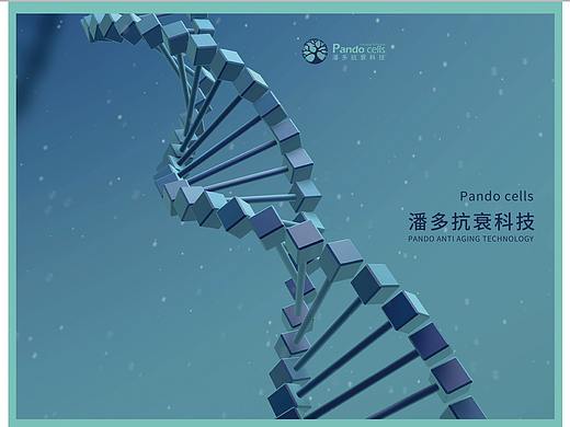 四折页关门折干细胞宣传页