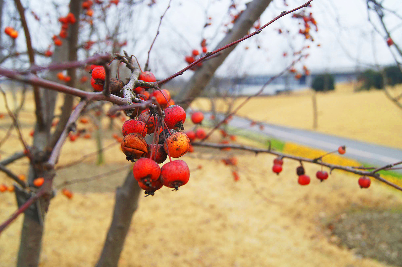 摄影+后期PS修图