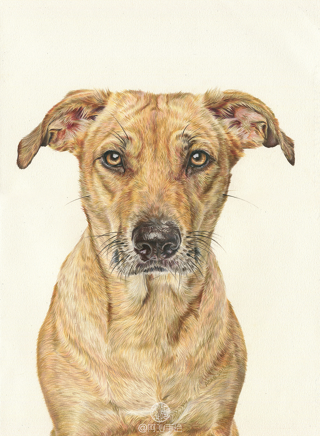 30张汪星人彩铅画阿沁作品