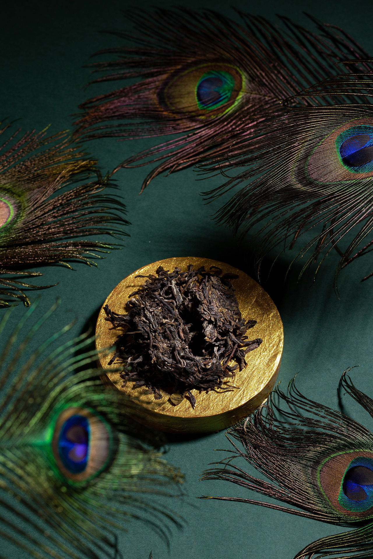 普洱茶陈升孔雀茶叶拍摄