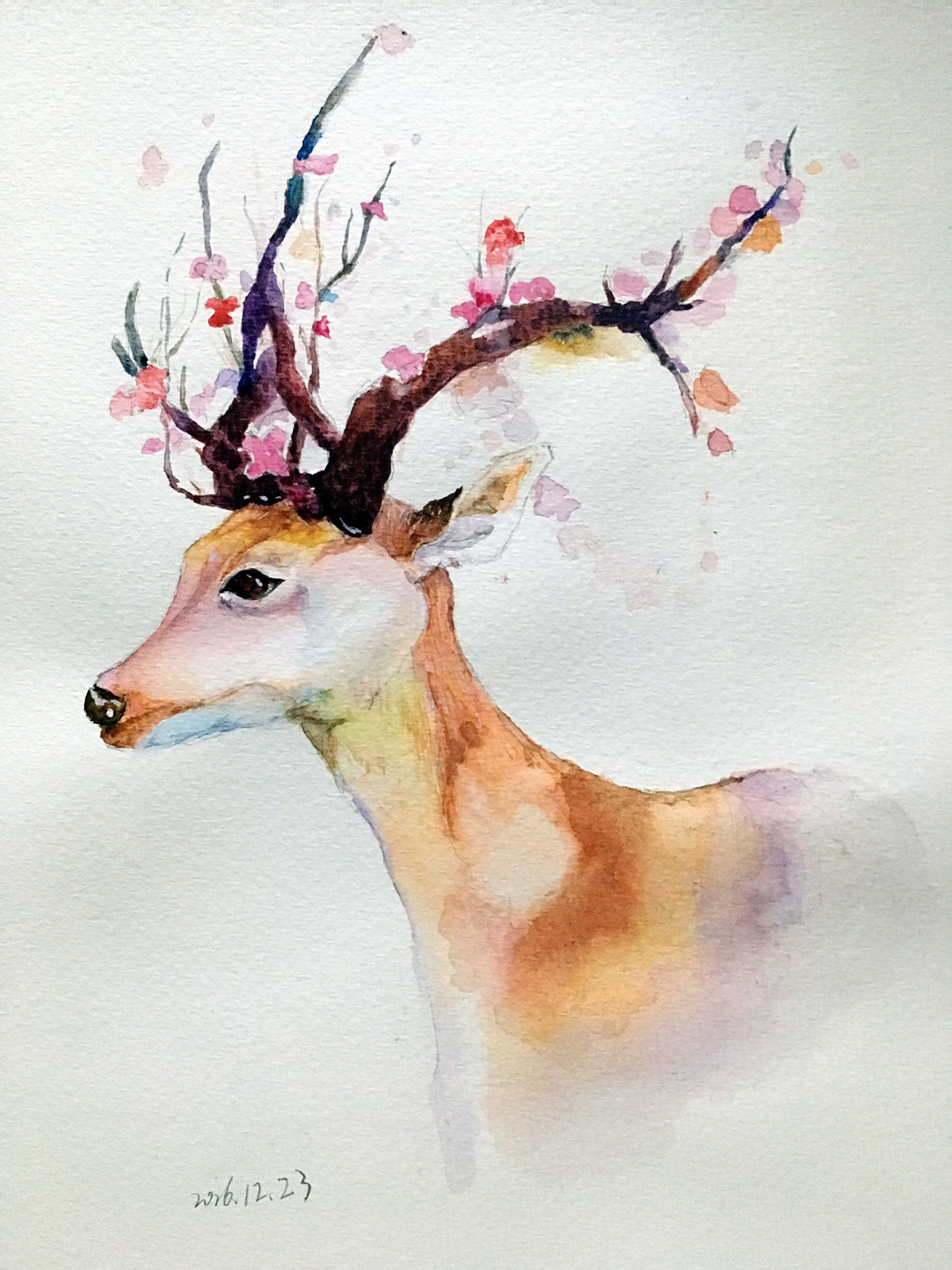 小鹿鹿|插画|插画习作|小松仔 - 原创作品 - 站酷 (zcool)