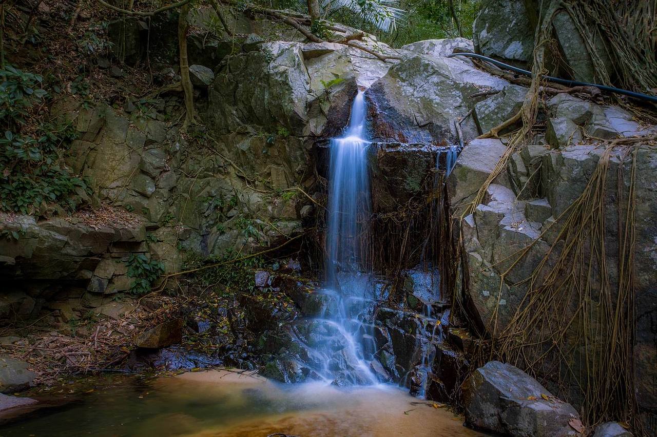 仙岭“自然生态”