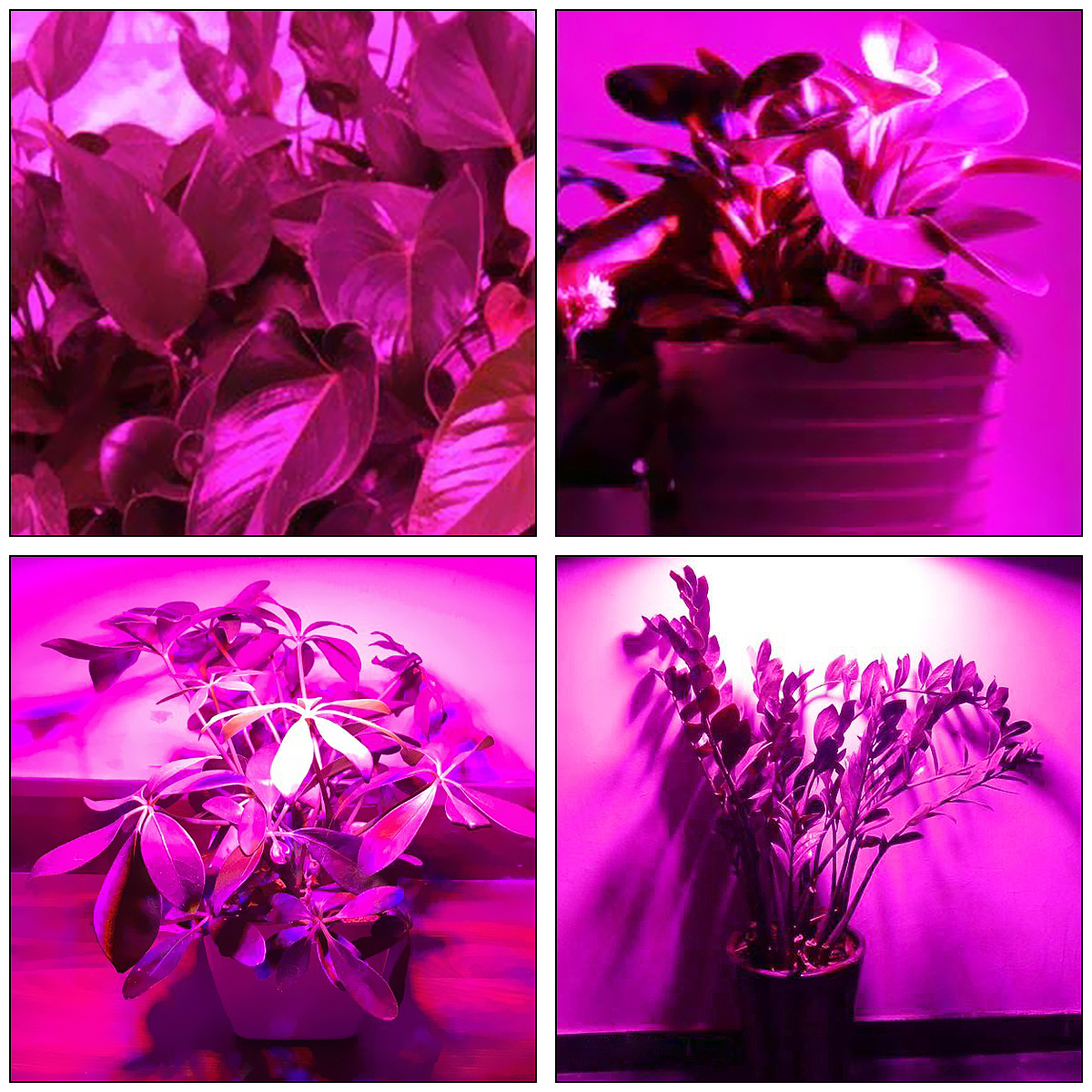 一些合辑（图ZMTkwODU1MzY4） - 电商 - 站酷设计师辣辣xiao原创素材 - 站酷ZCOOL