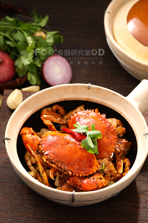 大禧乐啫啫煲（图ZMjEyODgzNjAw） - 产品摄影 - 站酷设计师CC食摄原创素材 - 站酷ZCOOL