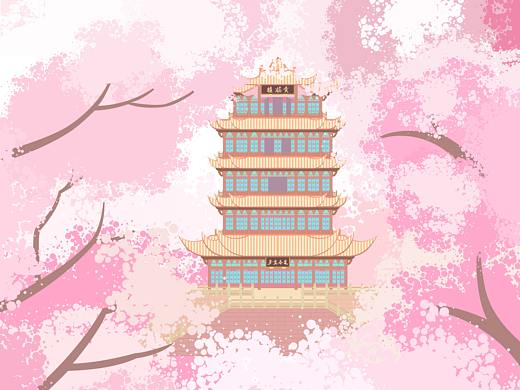 武汉黄鹤楼樱花季