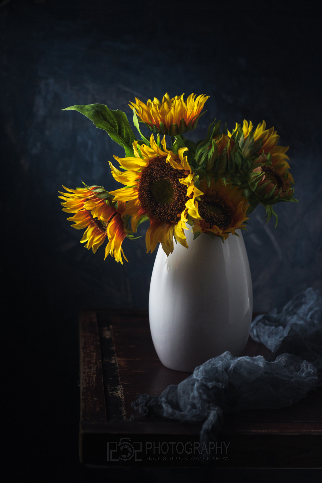 #1252第五十一轮约拍##桌角大法#