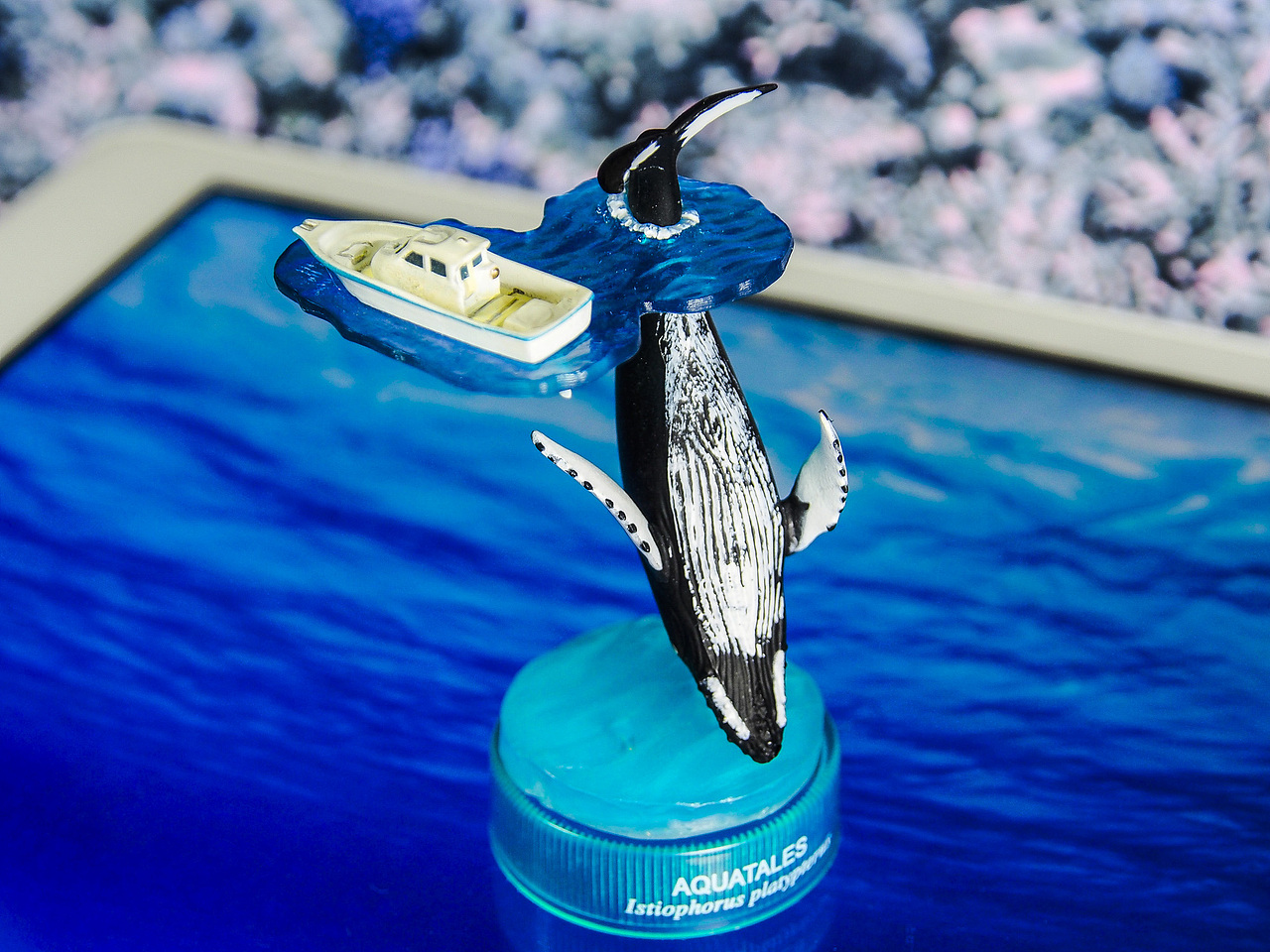 座头鲸(游艇赏鲸)Humpback whale Megaptera novaeangliae <br><br>座头鲸以其跃出水面姿势、超长的前翅与复杂的叫声而闻名。活动时多一双一对活动,性情温顺,有洄游习性,惟游泳速度较慢。主食为小甲壳类和群游性小型鱼类。个人最喜欢的一款,表现了人与自然和谐共处的场景,让我们~荡~起~双~桨~