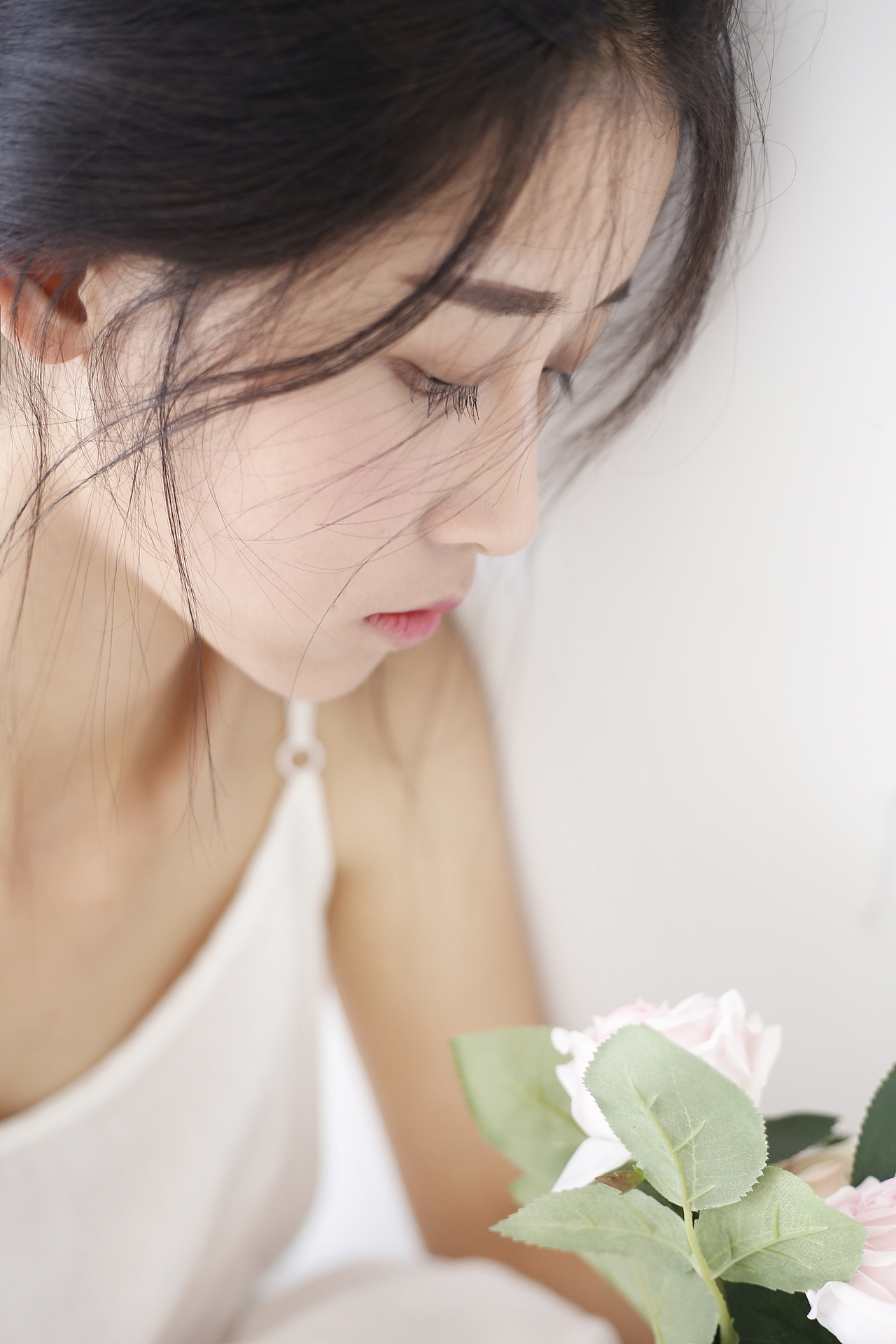 淡淡的来 好好的去