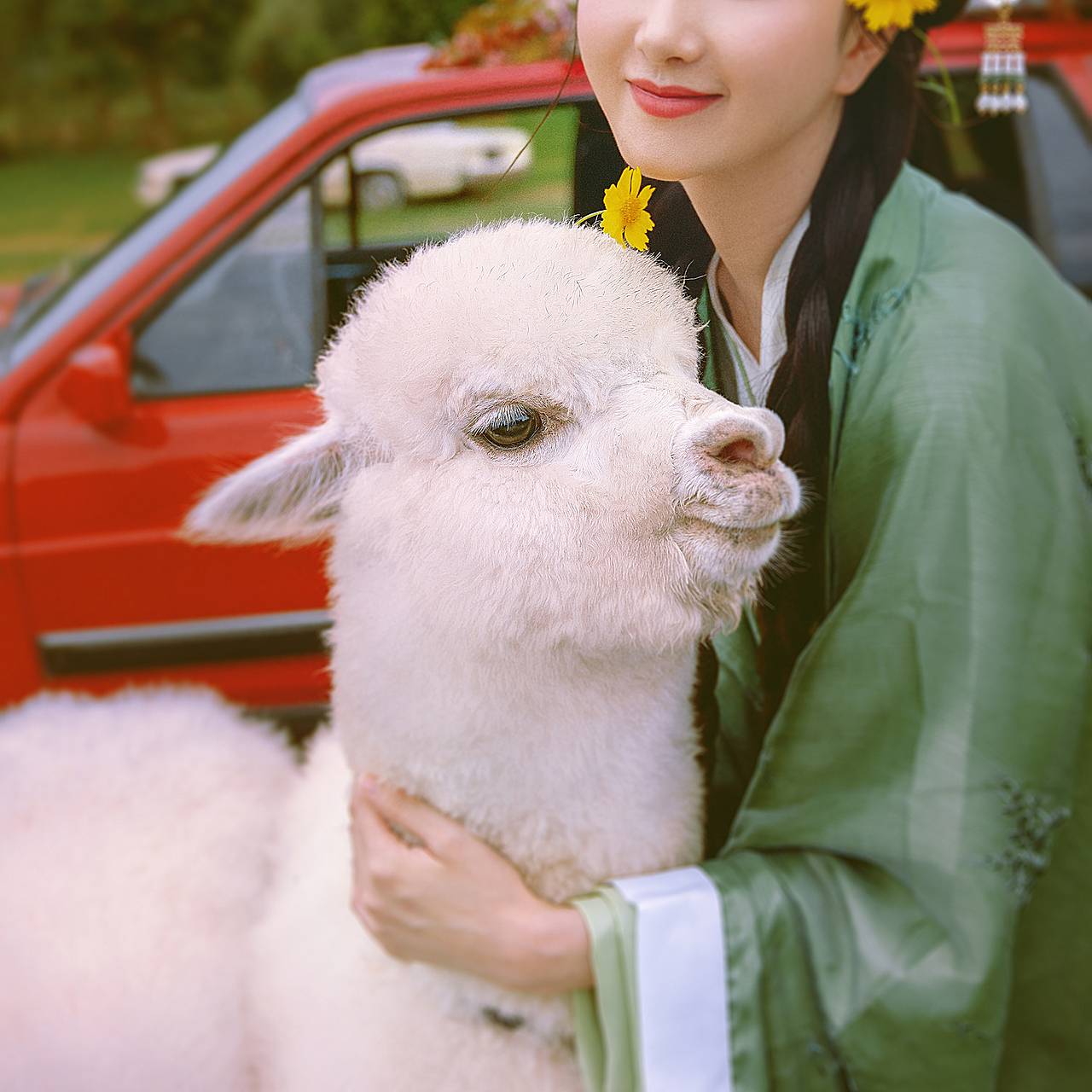 汉服少女与羊驼