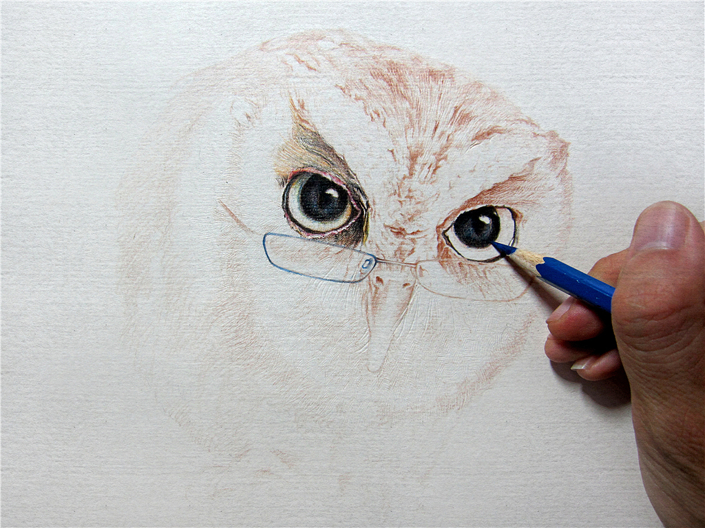 纸上彩铅-《福鸟花鸮》绘制过程（图ZMjcxNzI5MjA=） - 绘画 - 站酷设计师超超的青葱原创素材 - 站酷ZCOOL