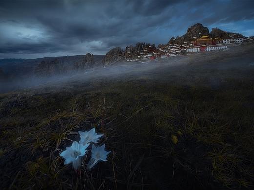 花