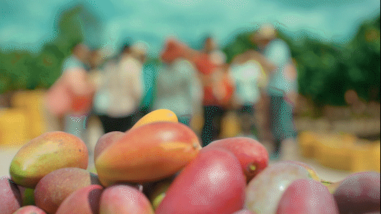 视频制作 | 大彭的汁汁芒芒 ✖ 聚划算