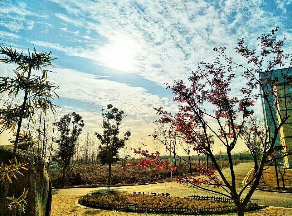 随拍（图ZMTM3NDg4MzA0） - 风光摄影 - 站酷设计师亦清兰兰原创素材 - 站酷ZCOOL