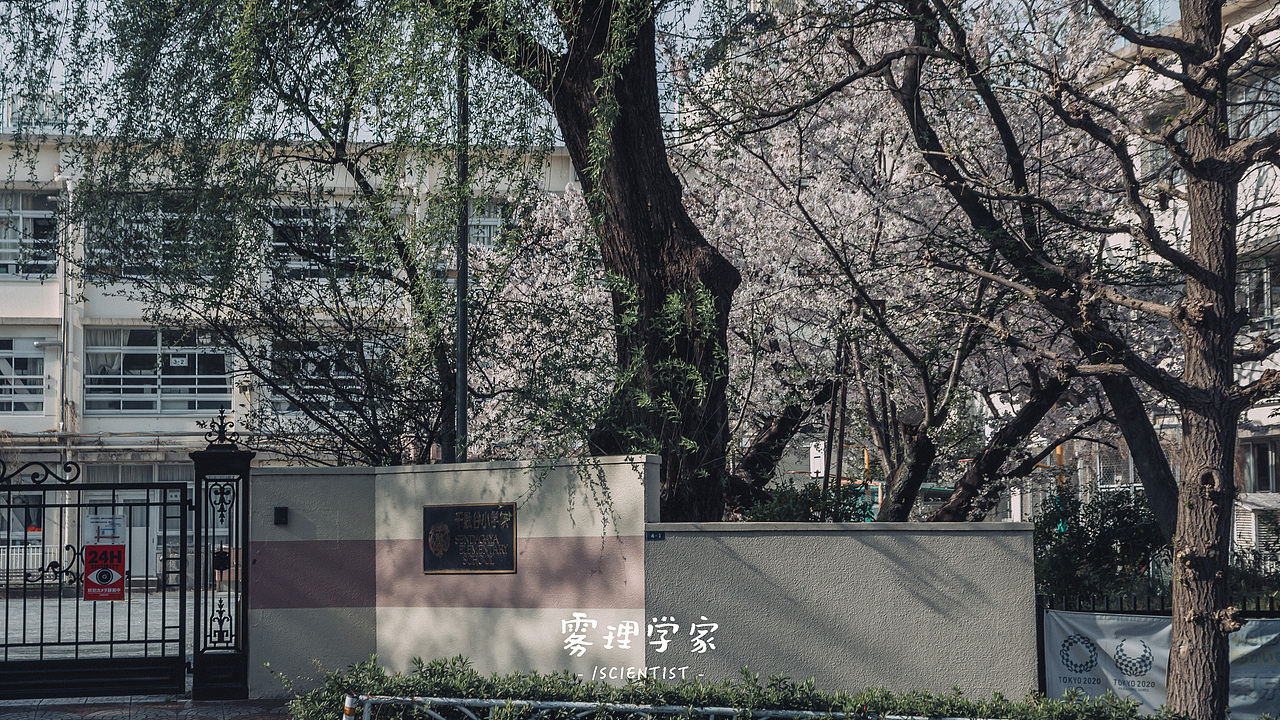 涉谷八公 | Photo | 雾里学家scientis | 3