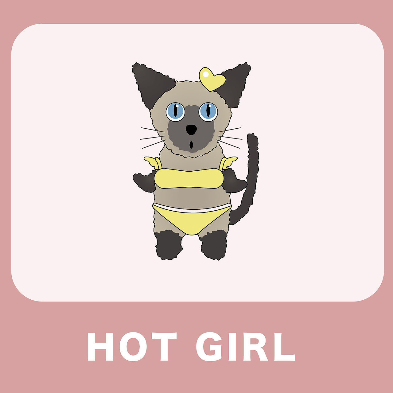 憨憨猫小队hanhancat