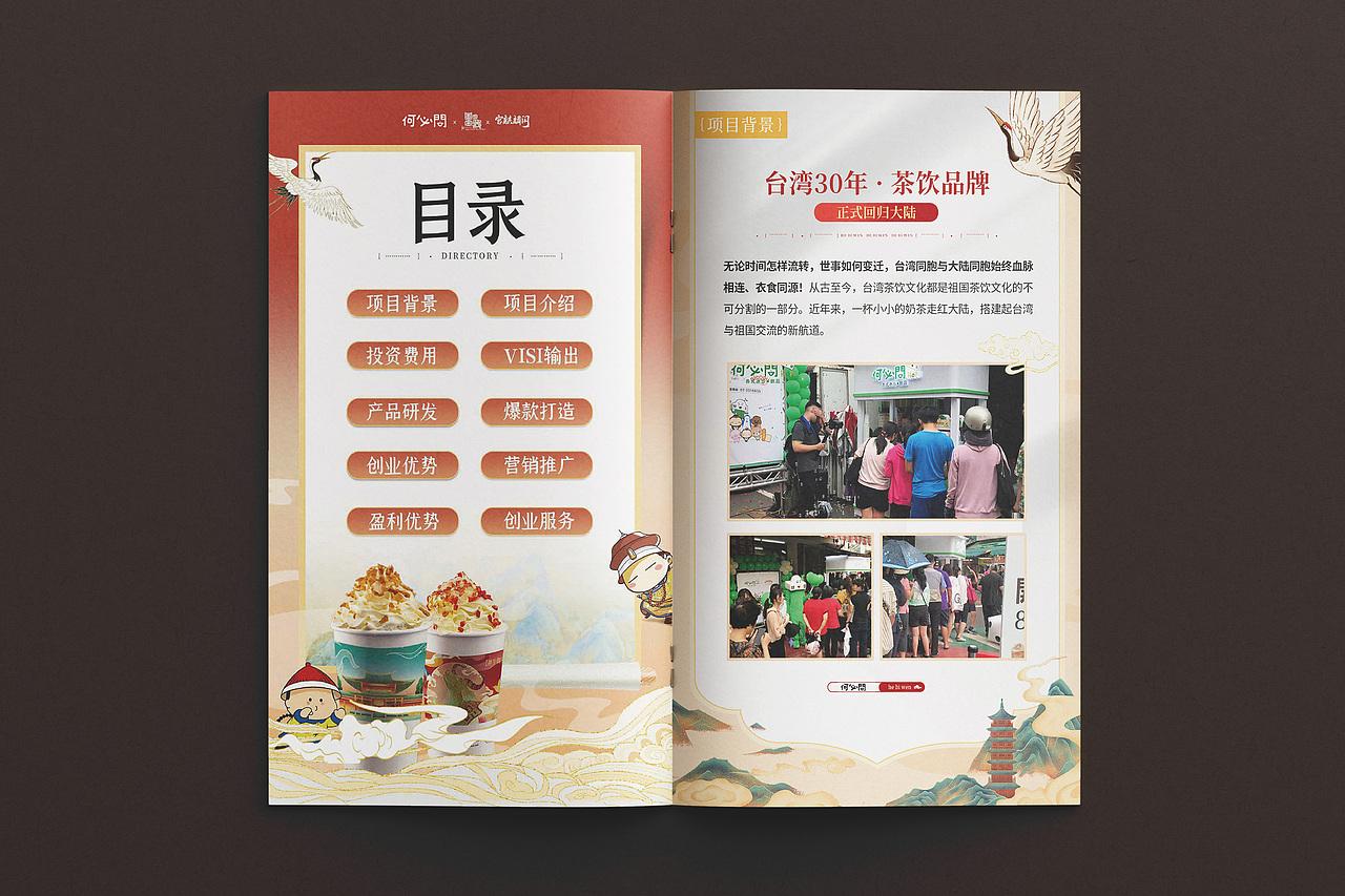 招商手册设计/产品手册