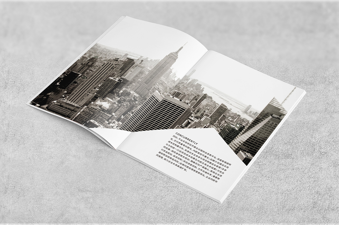 画册设计（图ZMjE4NDc0NzEy） - 书籍/画册 - 站酷设计师蛋蛋泡原创素材 - 站酷ZCOOL