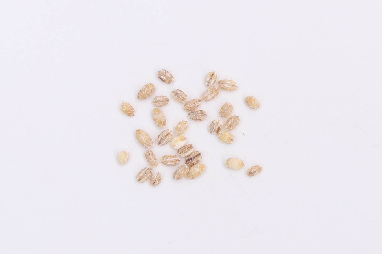 B06粮油米面\C05-米面杂粮\V26小麦仁X1-QM