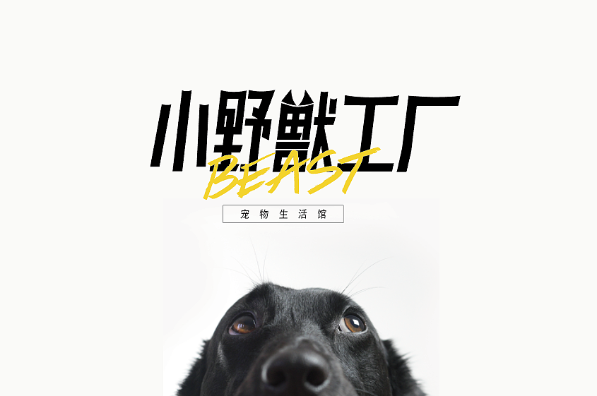 一个品牌的诞生一瓦力出品