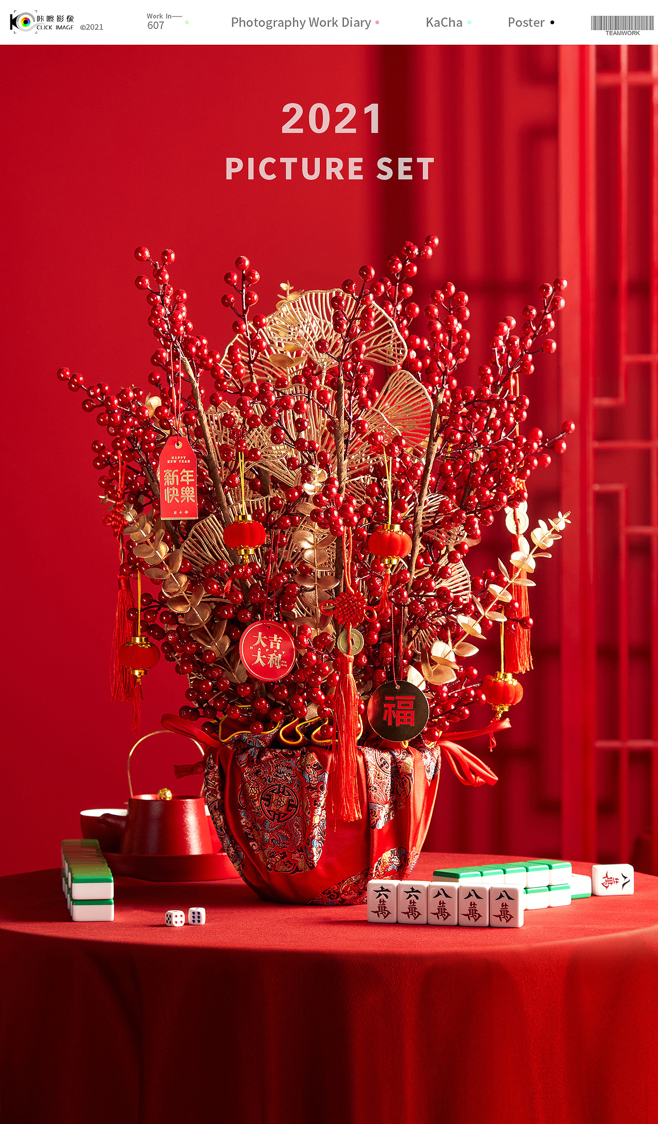 电商产品摄影/喜庆年宵花拍摄/红果银柳